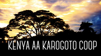 KENYA AA KAROGOTO COOP