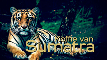 Sumatra